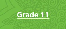Grade 11