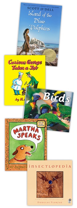 independent reading libraries