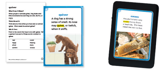 West Virginia Vocabulary Cards