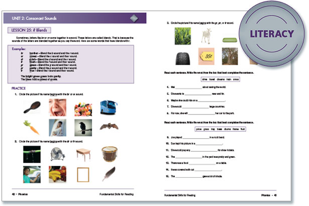 Literacy - Steck-Vaughn&reg; Fundamental Skills 