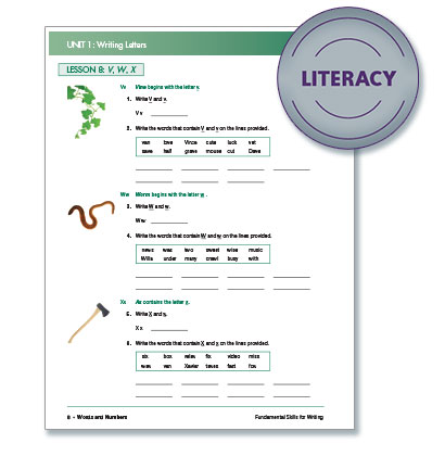 Literacy 2 - Steck-Vaughn&reg; Fundamental Skills 