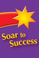 Soar to Success Summer School