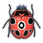 spot app