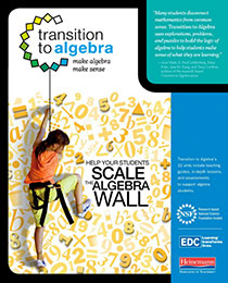 Transition to Algebra Overview