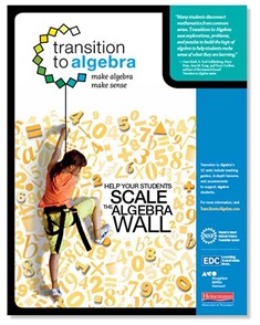 Transition to Algebra